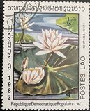 [Water Lilies, тип TT]