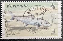 [World Fishing Records, type FM]