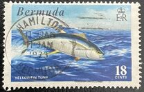 [World Fishing Records, type FO]