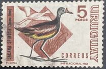 [Birds, tip UA]