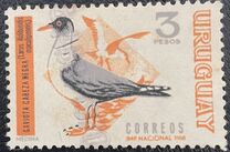 [Birds, Scrivi VR]