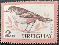 [Birds, Tipi PE]