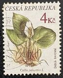 [Plants, type EG]