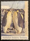 [Antarctic Wildlife, type CP]
