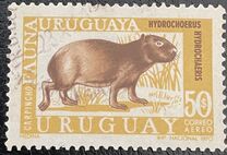 [Airmail - Local Fauna, type WU]