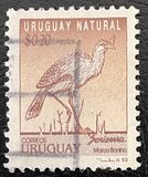 [Natural World, тип AVL]
