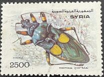 [Insects, typ ATD]