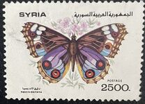 [Butterflies, typ ATA]