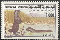 [Ichkeul National Park, тип AGL]