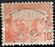 [Local Motives, type F]