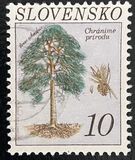 [Protección de la naturaleza. Árboles., tipo CI]