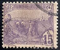 [Local Motives, type F1]