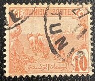 [Local Motives, type F]