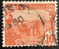 [Local Motives, type F]