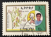 [Medicinal Plants, type AMG]