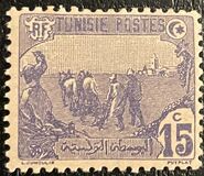 [Local Motives, type F1]