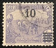 [Issues of 1906 Surcharged, típus F4]