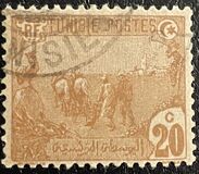 [Local Motives, type F2]