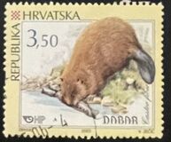 [Croatian Rodents, type UZ]