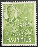 [King George VI - Local Motives, type BM]