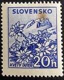 [Mountain Landscapes, type T]