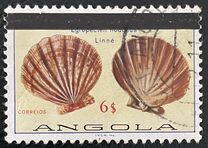 [Sea Shells Stamps of 1974 with "REPUBLICA PORTUGUESA" Overprinted with Black Bar, type NK]