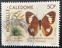 [Flowers and Butterflies, type UO]