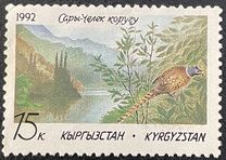 [Sary-Chelek Nature Reserve, Tüüp A]