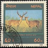 [Royal Shukla Phanta Wildlife Reserve, type MW]