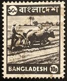 [Local Motives, type Q1]