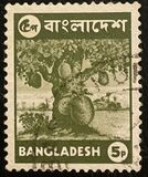 [Local Motives, type P1]