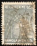 [Local Motives, type U1]