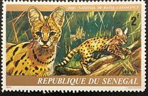 [Animals of Basse Casamance National Park, type OY]