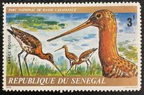 [Animals of Basse Casamance National Park, type OZ]