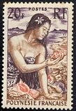 [Polynesians, type C1]