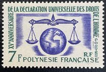 [Human Rights Issue, type Y]