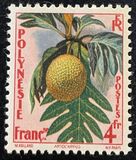 [Breadfruit, tip I]
