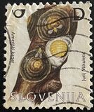 [Flora and Fauna - Apricot & San Jose Scale, type RU]