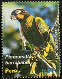 [Parrots of Peru, тип BHF]