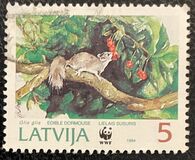 [The Fat Dormouse, type EW]