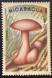 [Airmail - Mushrooms, type BOD]