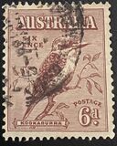 [Kookaburra, type P]