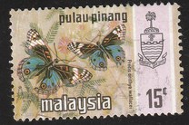 [Butterflies, type AR]