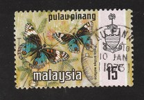 [Butterflies, type AR]