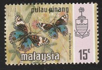 [Butterflies, type AR]