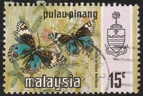[Butterflies, type AR]