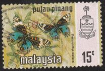 [Butterflies, type AR]