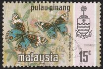 [Butterflies, type AR]
