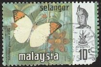 [Butterflies, type BA]