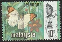 [Butterflies, type BA]